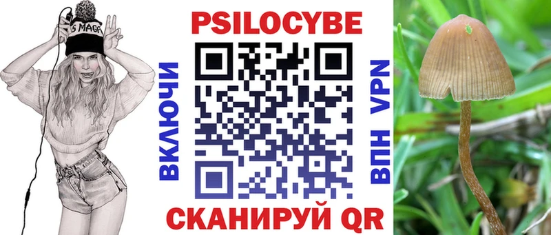 Псилоцибиновые грибы Psilocybe  наркотики  Бузулук 