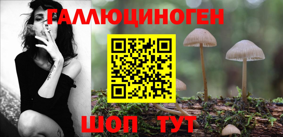 Псилоцибиновые грибы прущие грибы  где можно купить наркотик  Бузулук  Вход с VPN 