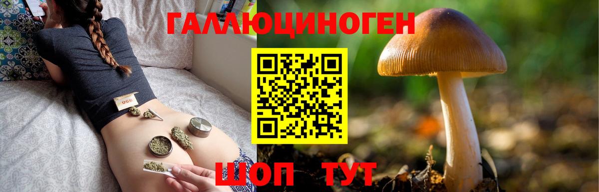 Псилоцибиновые грибы Magic Shrooms  Бузулук 